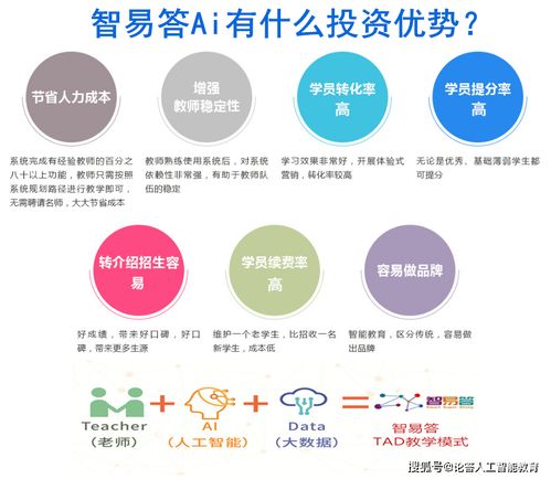 科技赋能未来教育 智易答引领厦门网络技术开发新浪潮